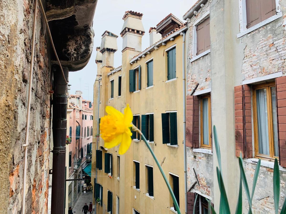 Rooftop Terrace Domus Dei Fabbri Venedig Exterior foto