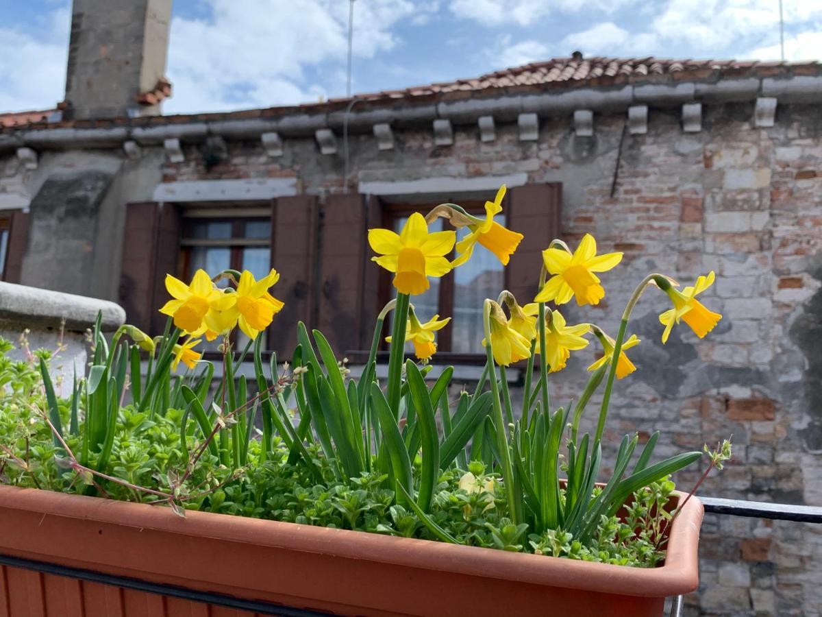 Rooftop Terrace Domus Dei Fabbri Venedig Exterior foto